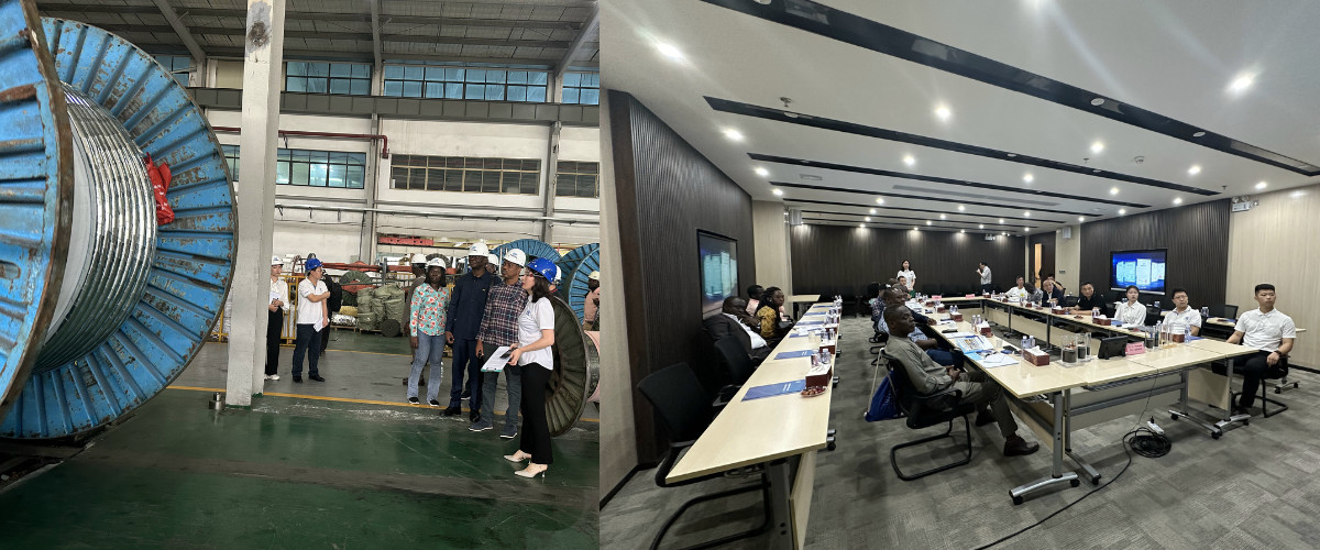 China best Aluminum Electrical Cable on sales