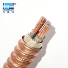 YTTW YTTWY Low Smoke Halogen Free Cable Plain Copper Mineral Insulated